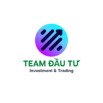 Team Dautu