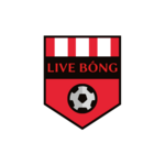 Livebongco