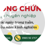 Công ty dịch thuật MTP