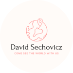 DavidSechoviczblogger