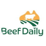 Beef Daily - Australian Standard Cool Beef BeefDaily