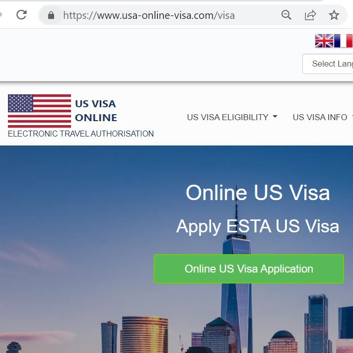 America visa online