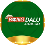 Bongdalu Co