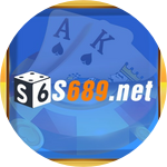 S689 Net