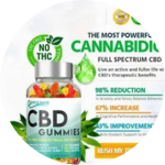 Gentle Grove CBD Gummies