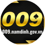 009nam dinhgovvn