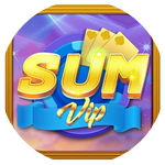 SumVip Top