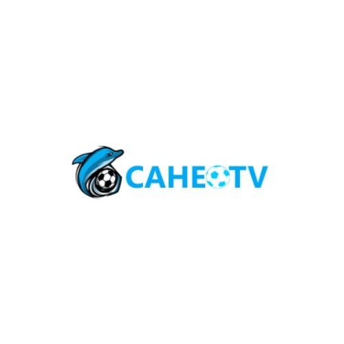 Vebo TV essaycollegepaper