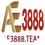 AE3888 Team