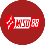 Miso88