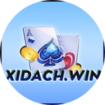 Xidach Online