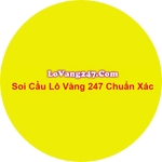 Soi Cầu Lo Vàng 247