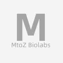 MtoZ Biolabs 