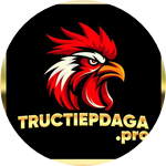 tructiepdaga pro