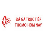 Đá Gà Trực Tiếp Thomo Hôm Nay