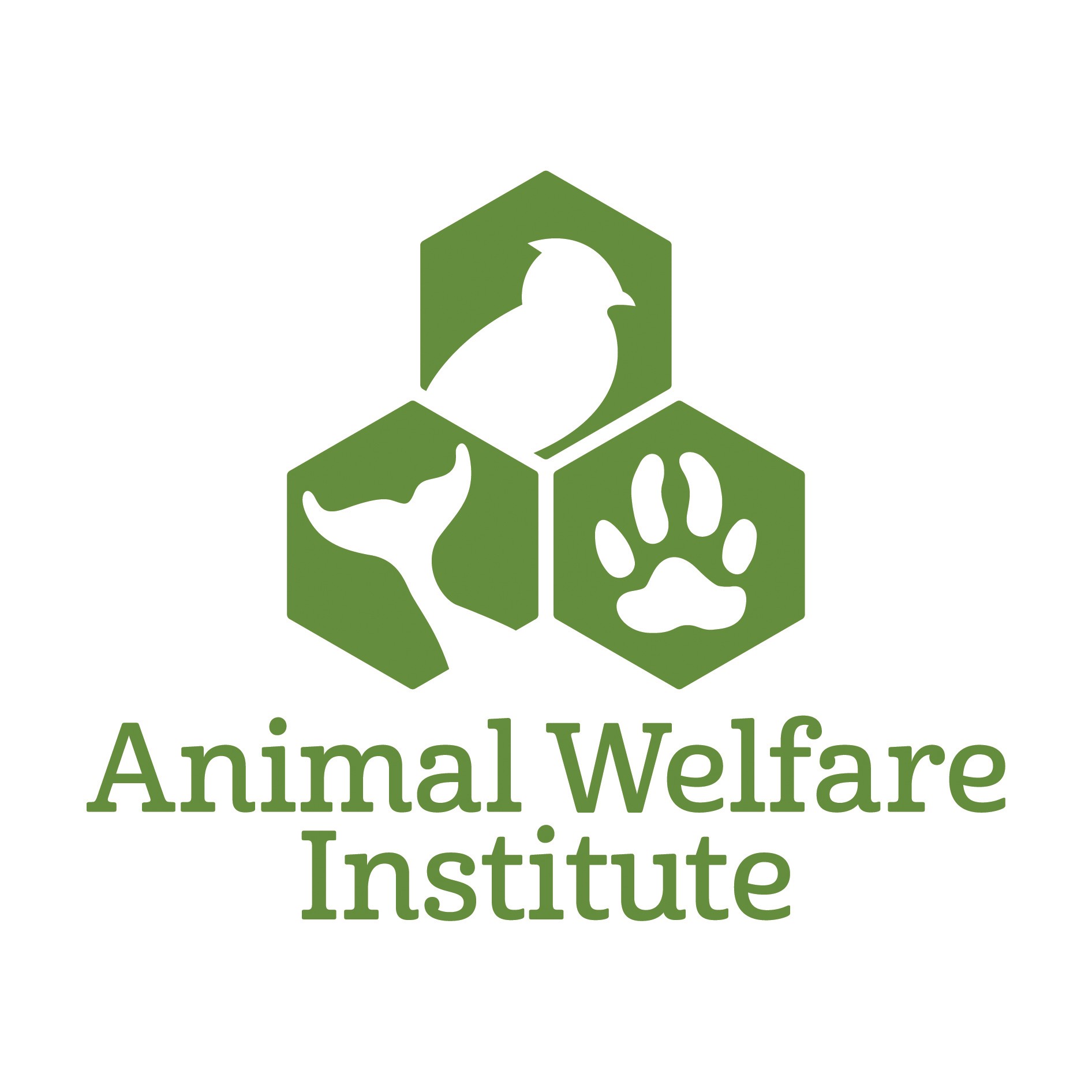 Georgia Hancock - Animal Welfare Institute Marine Wildlife Program