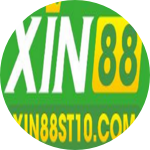 xin88 st10