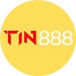 TIN888