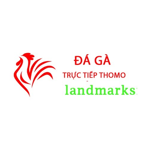 Đá Gà Trực Tiếp Thomo Hôm Nay