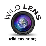 Wild Lens