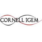 Cornell iGEM